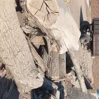 فروش چوب گردو خشک و بدون پوسیدگی|عمده‌فروشی|مهریز, |دیوار