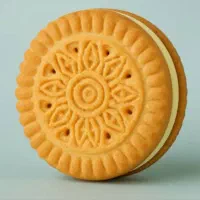 نیروی کاربلد در کارخانه بیسکویت