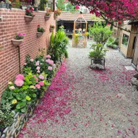 نیروی قلیون زن کافه|استخدام خدمات فروشگاه و رستوران|تنکابن, |دیوار