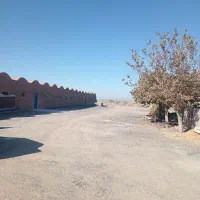 کارگر مرغداری