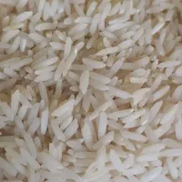 بهترین برنجهای شمال|خوردنی و آشامیدنی|اردبیل, |دیوار