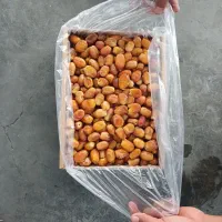 رطب زاهدی  داخل سردخانه