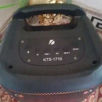 اسپیکر|سیستم صوتی خانگی|کنگاور, |دیوار