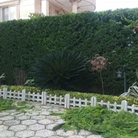 گلکاری و هرس و سمپاشی|خدمات باغبانی و درختکاری|نوشهر, |دیوار