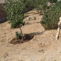 باغ ۵۰۰متری مرند روستای ارلان|فروش خانه و ویلا|کشکسرای, |دیوار