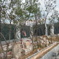 فروش زمین کشاورزی