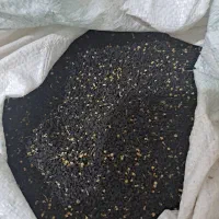 بذر پیاز قرمز