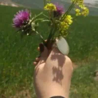 کندن باغچه  کندن چاهای فاضلاب و ته زنی چاهای آب