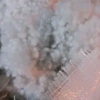 پشم|لوازم جانبی حیوانات|قم, ولیعصر|دیوار