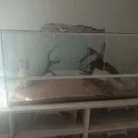 آکواریوم و تجهیزات