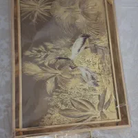 سینی ترک