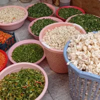 سفارشات انواع سبزیجات و ترشیجات محلی|خوردنی و آشامیدنی|مهاباد (آذربایجان غربی), |دیوار