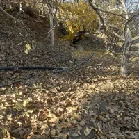 ۲۰۰۰۰۰باغ خوش آب و هوا