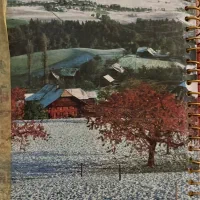 آلبوم کلکسیونی تمبر