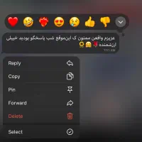 معلم خصوصی زبان انگلیسی|خدمات آموزشی|مشهد, گوهرشاد|دیوار