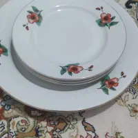 ضرف چینی بلقارستانی کمیاب ورق بزنید
