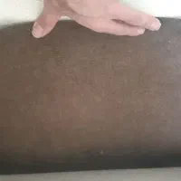 موکت|موکت|سنندج, |دیوار