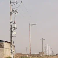 ۷۰۰۰هزارمتر زمین دارای نهال پسته پیوندی وبار دار|فروش دفتر صنعتی، کشاورزی، تجاری|تربت جام, میان جام|دیوار