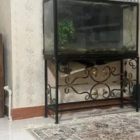 آکواریوم