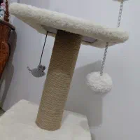 لانه گربه وساک حمل|لوازم جانبی حیوانات|زنجان, |دیوار