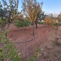 باغ ۱۵۰۰ متری شهرستان خدابنده روستای گوگجه ییلاق|فروش دفتر صنعتی، کشاورزی، تجاری|قیدار, |دیوار