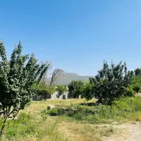 باغ اجاره  ویلا باغ|اجارهٔ کوتاه‌مدت ویلا و باغ|یاسوج, |دیوار