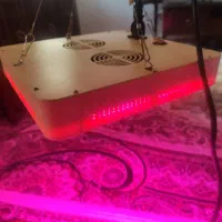 ال ای دی رشد گیاه