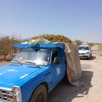 وانت نیسان کرایه ای|خدمات حمل و نقل|سیرجان, |دیوار