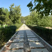 یک-هکتار-باغ-قدیمی-قابل-تهاتر-چمن-مهرشهر