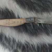 چاقو دسته استخوان