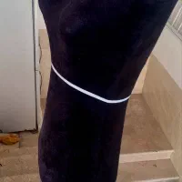 مانکن سوزن خور