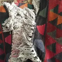 گلیم فرش عتیقه پشم شتر سالم|گلیم، جاجیم، گبه|قم, بنیاد|دیوار