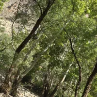 کارگاه-4000متری-با-سوله