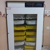 دستگاه جوجه کشی|لوازم جانبی حیوانات|هندیجان, |دیوار
