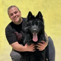 مربی سک پانسیون سگ