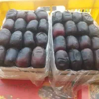 فروش خرما درجه یک
