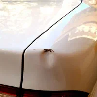 سمند مدل ۹۸|خودرو سواری و وانت|بروجرد, |دیوار