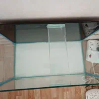 آکواریوم|ماهی|کرمانشاه, |دیوار