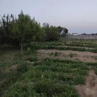 باغچه ۱۰۰۰متربادیوارکشی جاده طلاتپه چمکی|فروش زمین و ملک کلنگی|ارومیه, |دیوار
