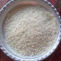 فروش برنج کشت دوم