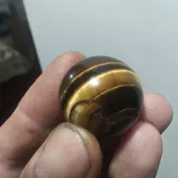 چشم ببری اصلی|کلکسیون و سرگرمی|رامسر, |دیوار