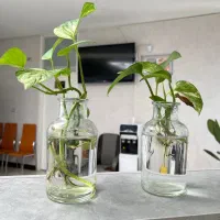 اجاره مطب اماده به کار برای پزشک عمومی