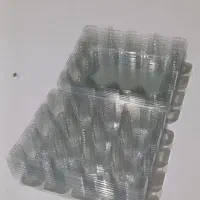 ظرف ۱۲ تایی تخم بلدرچین