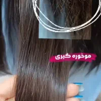 تخ.فیف موخوره گیری