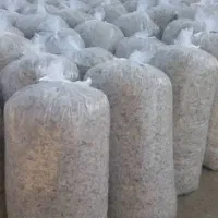 تفاله چغندر ملاس