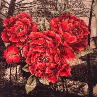 پتو ضخیم با ایراد مهندسی مدل گلبافتی|رختخواب، بالش، پتو|بومهن, |دیوار