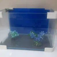 آکواریوم خانگی نو