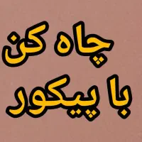 چاه کن با پیکور