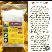 پودر معجزه گر