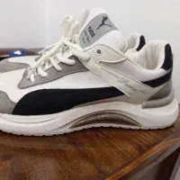 کفش طرح پوما|کیف، کفش، کمربند|پرند, فاز ۲|دیوار